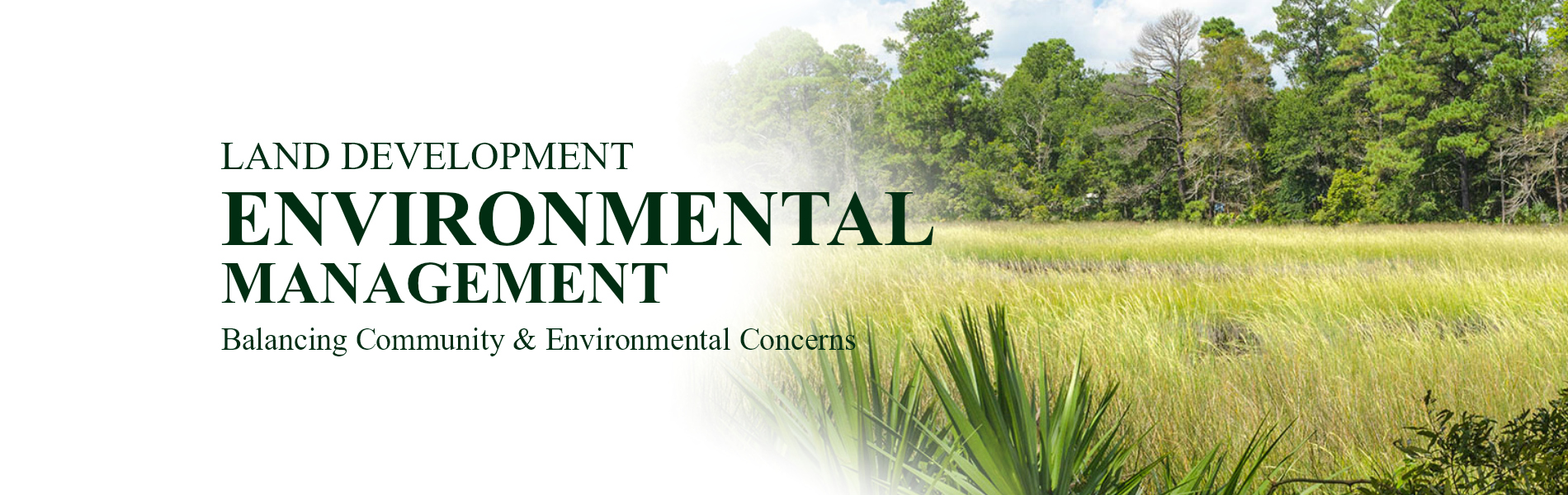 Land Development Services in North Florida Signature Land Inc