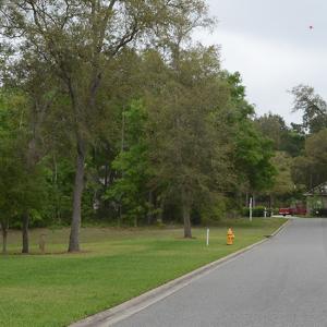 Heron's Walk Image #1